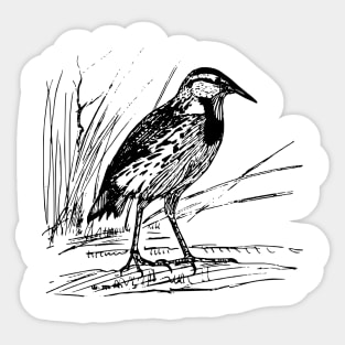 Englischstarling Sticker